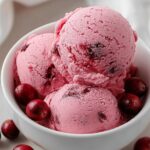 Cranberry Ice Cream: 1 Amazing Festive Treat 4 Cranberry Ice Cream
